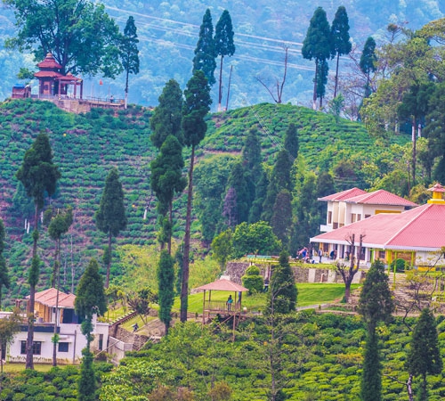 Gangtok Lachung Pelling Darjeeling Kalimpong
