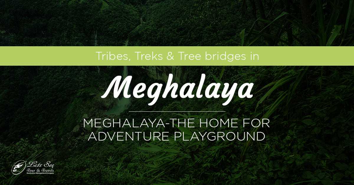 Tribes, Treks & Tree bridges in Meghalaya