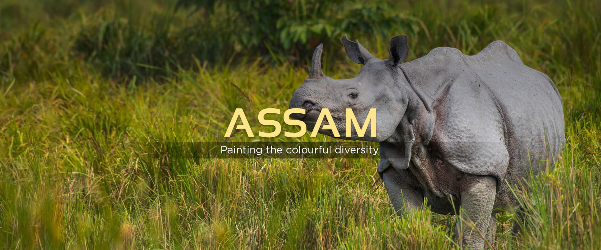 Assam