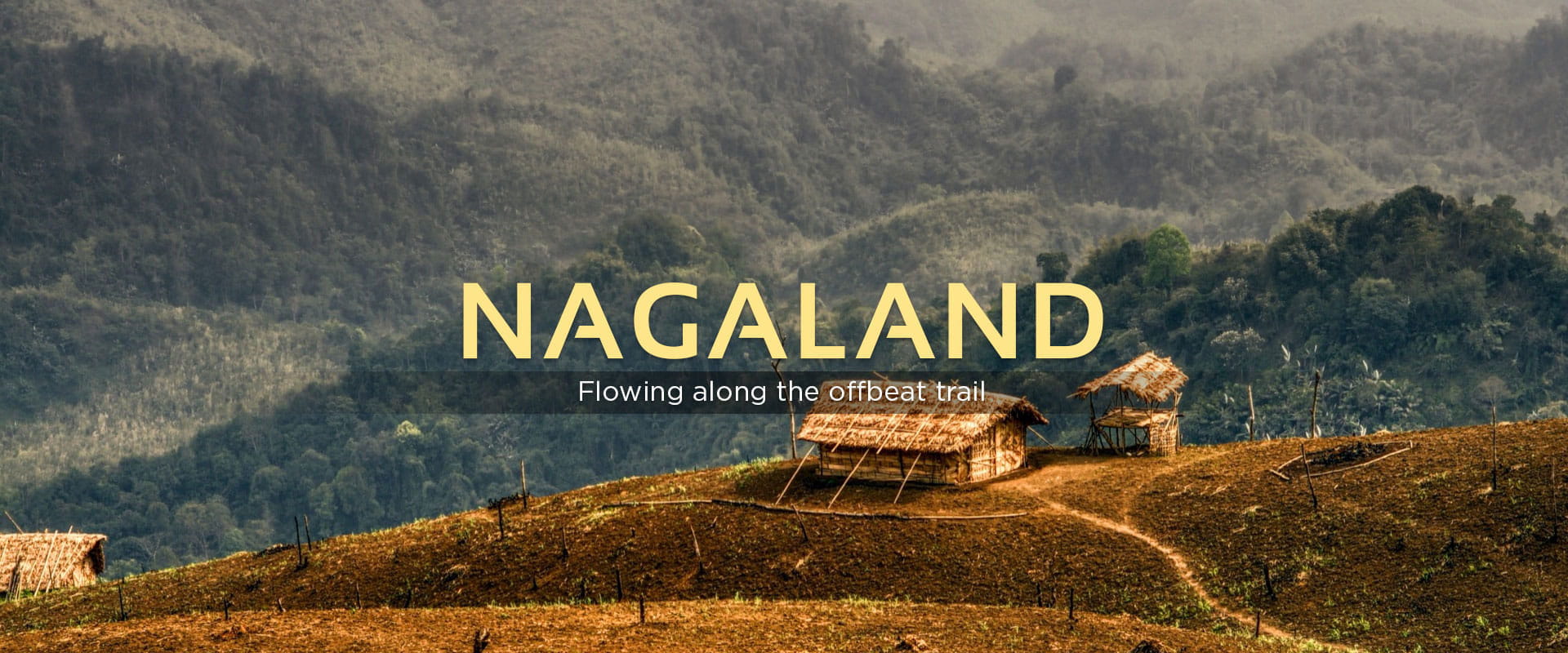 Nagaland