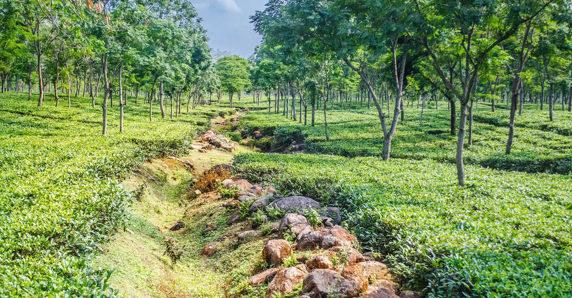 Bhutan