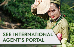 International Agent's Portal