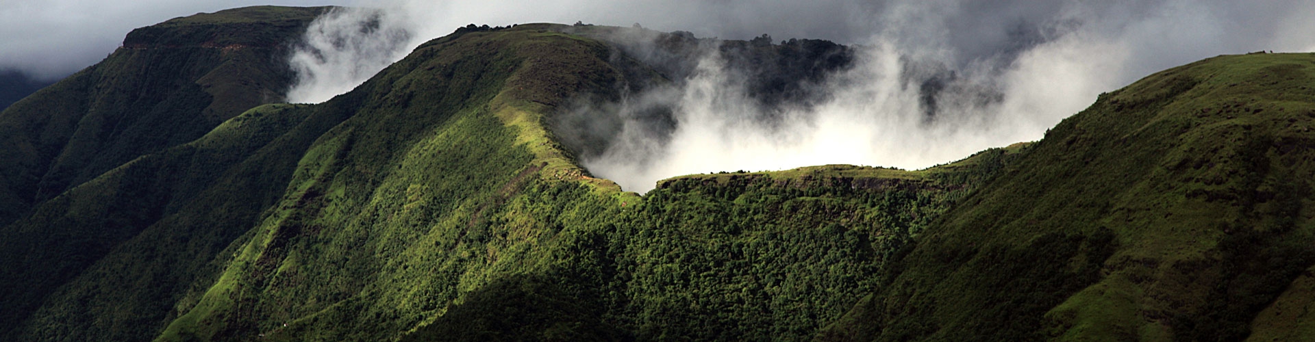 Discover Meghalaya