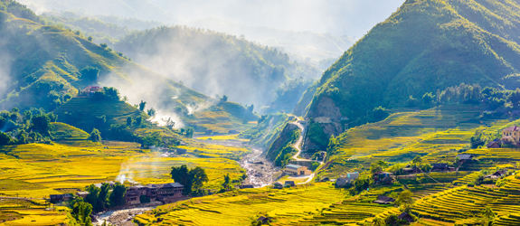 Sapa
