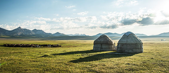 Yurt Stay & Eagle Hunting Demo