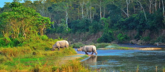 Chitwan