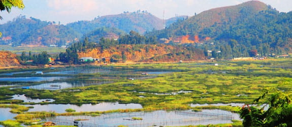 Imphal