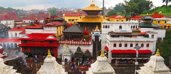Visit the Pashupatinath Temple