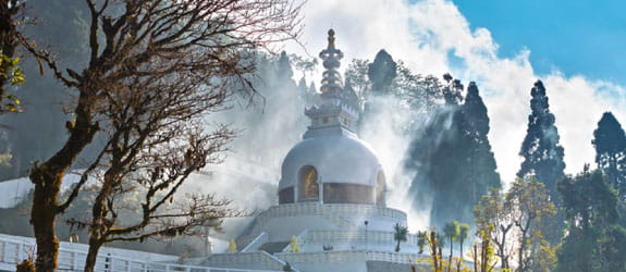 Peace Pagoda