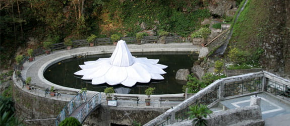 Rock Garden
