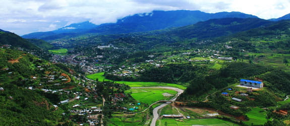 Senapati