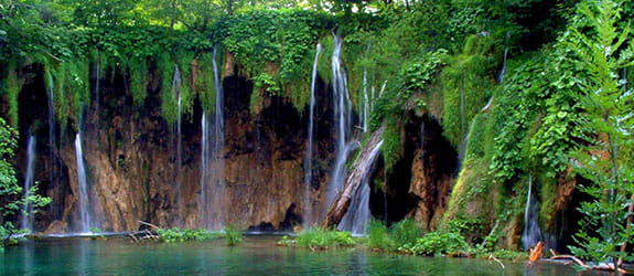 Shillong