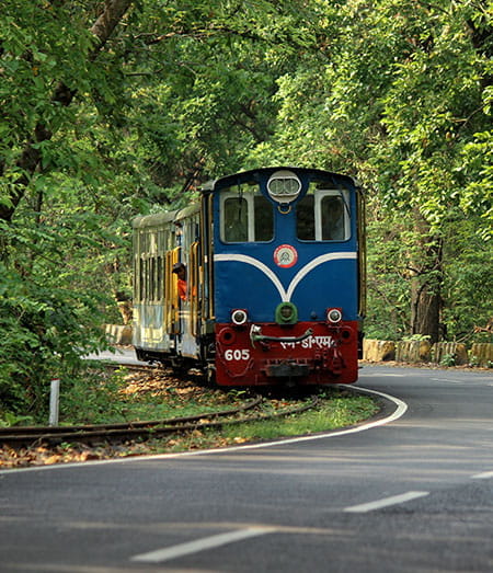 Ride Toy Train in Darjeeling