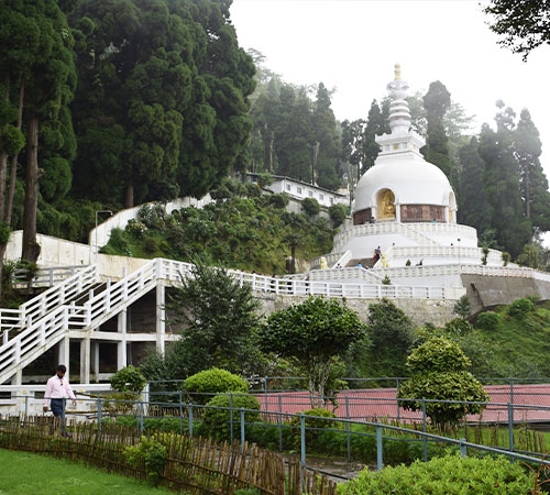 Dazzling Darjeeling Tour