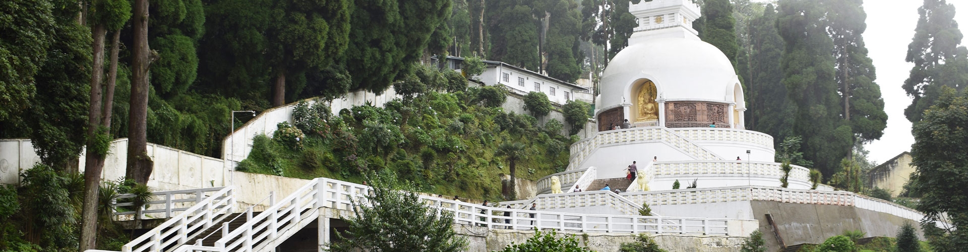 Dazzling Darjeeling Tour