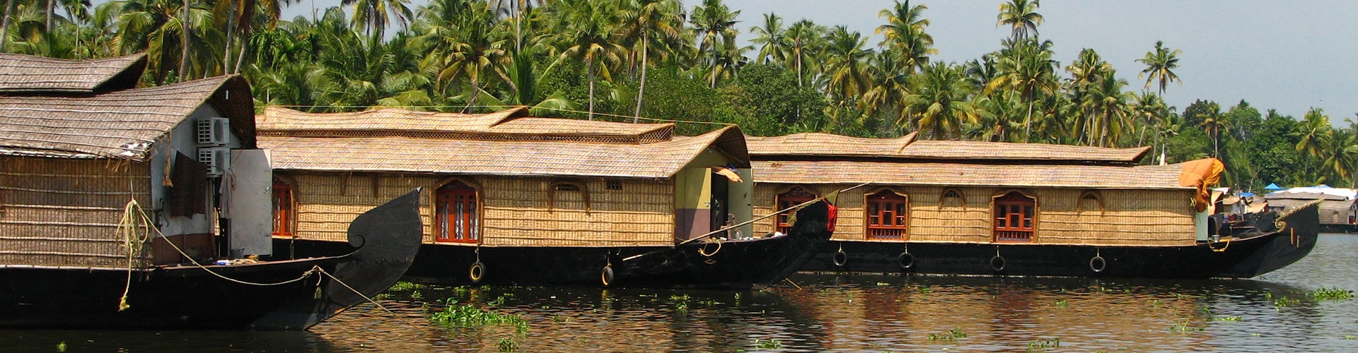 Kerala Backwaters & Hills