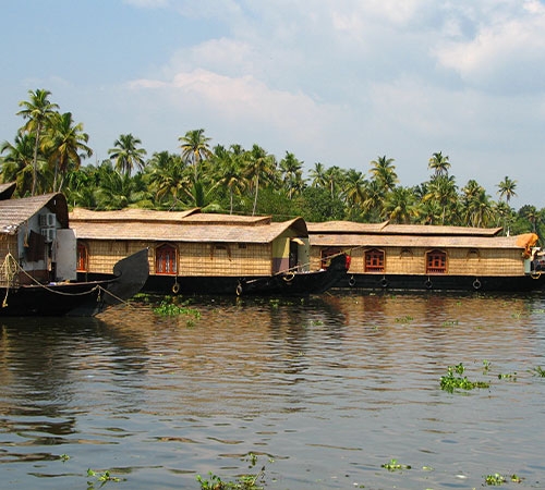 Kerala Backwaters & Hills