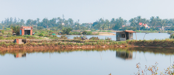 Explore Tra Que Vegetable Village