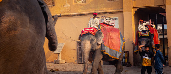 Fort & Palace Trails