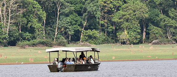 Kabini Safari