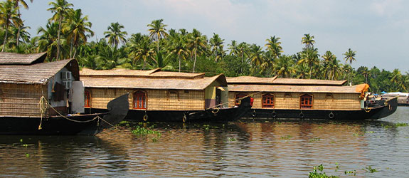 Houseboat Cruise in Alleppey
