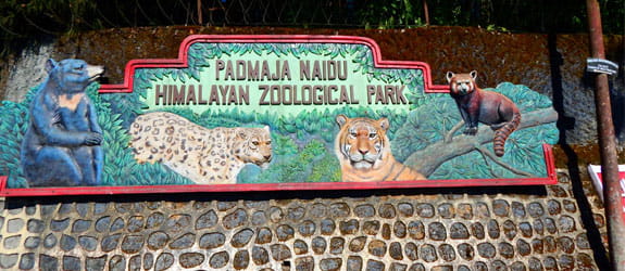 Padmaja Naidu Zoological Park