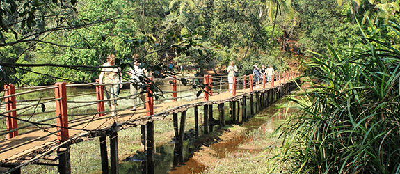Spice Plantation Tour