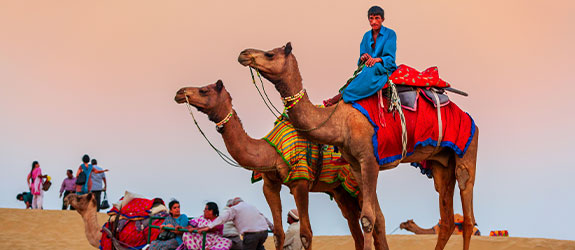 Thar Desert Safari